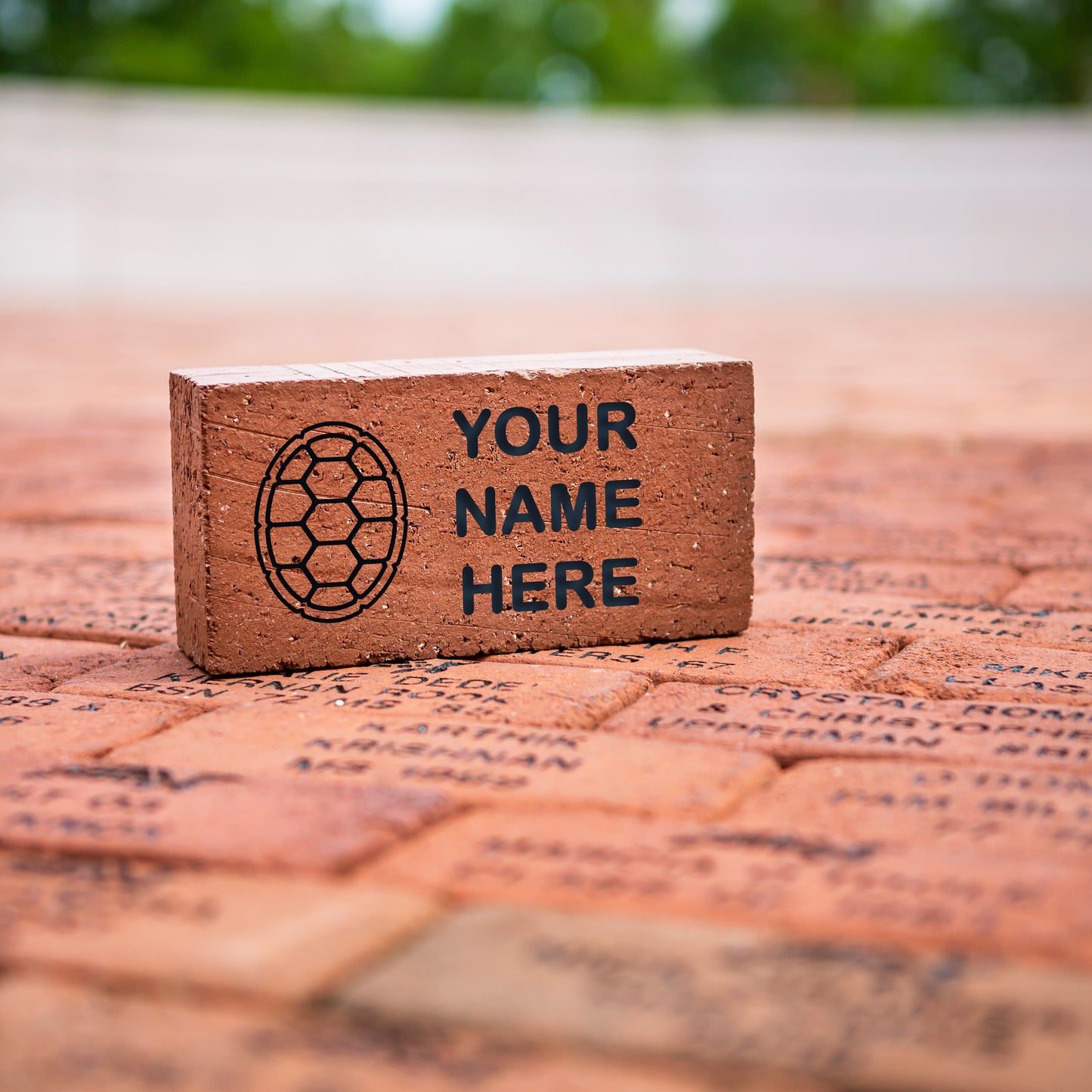 Personalized Brick