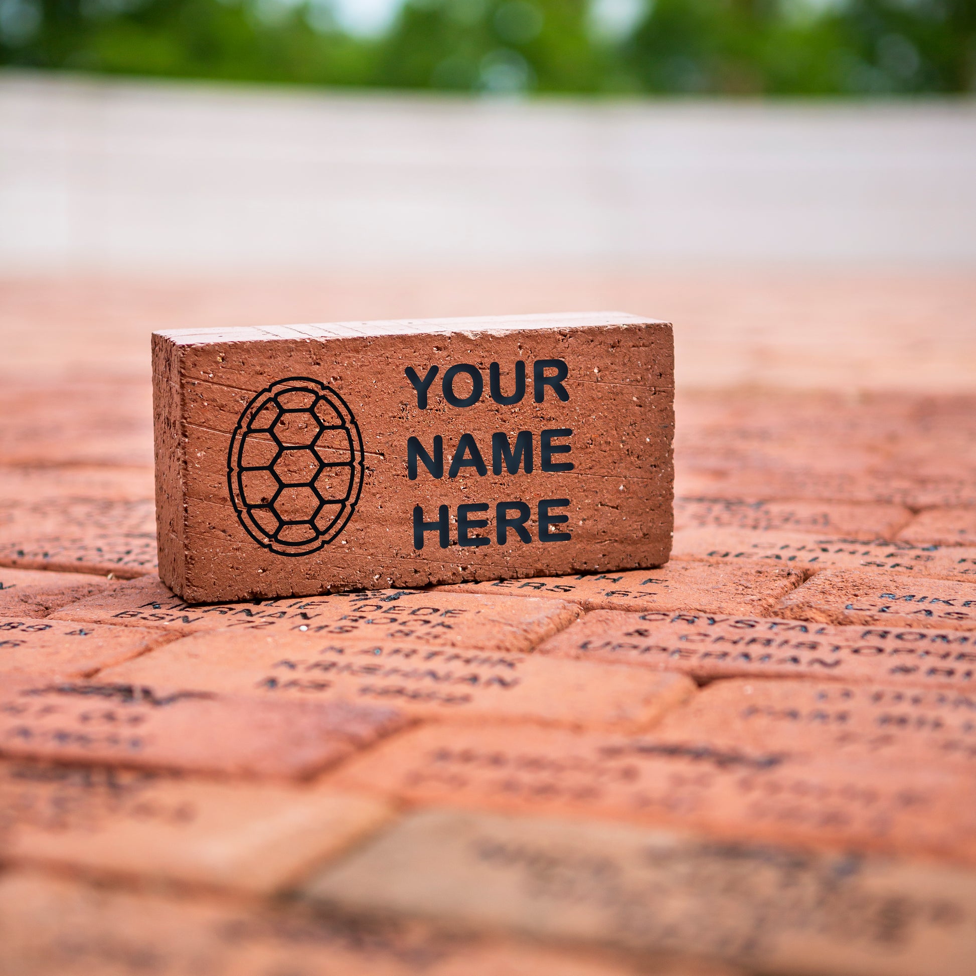 Astrotheme'S Maryland Report: Your Personalized Star Sign Guide - u7s3gpn